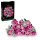 LEGO BOTANICALS 10374 Bukiet różowych róż - 1473598 - zdjęcie 2